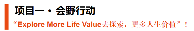 项目一·会野行动